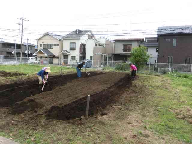 CIMG1536
