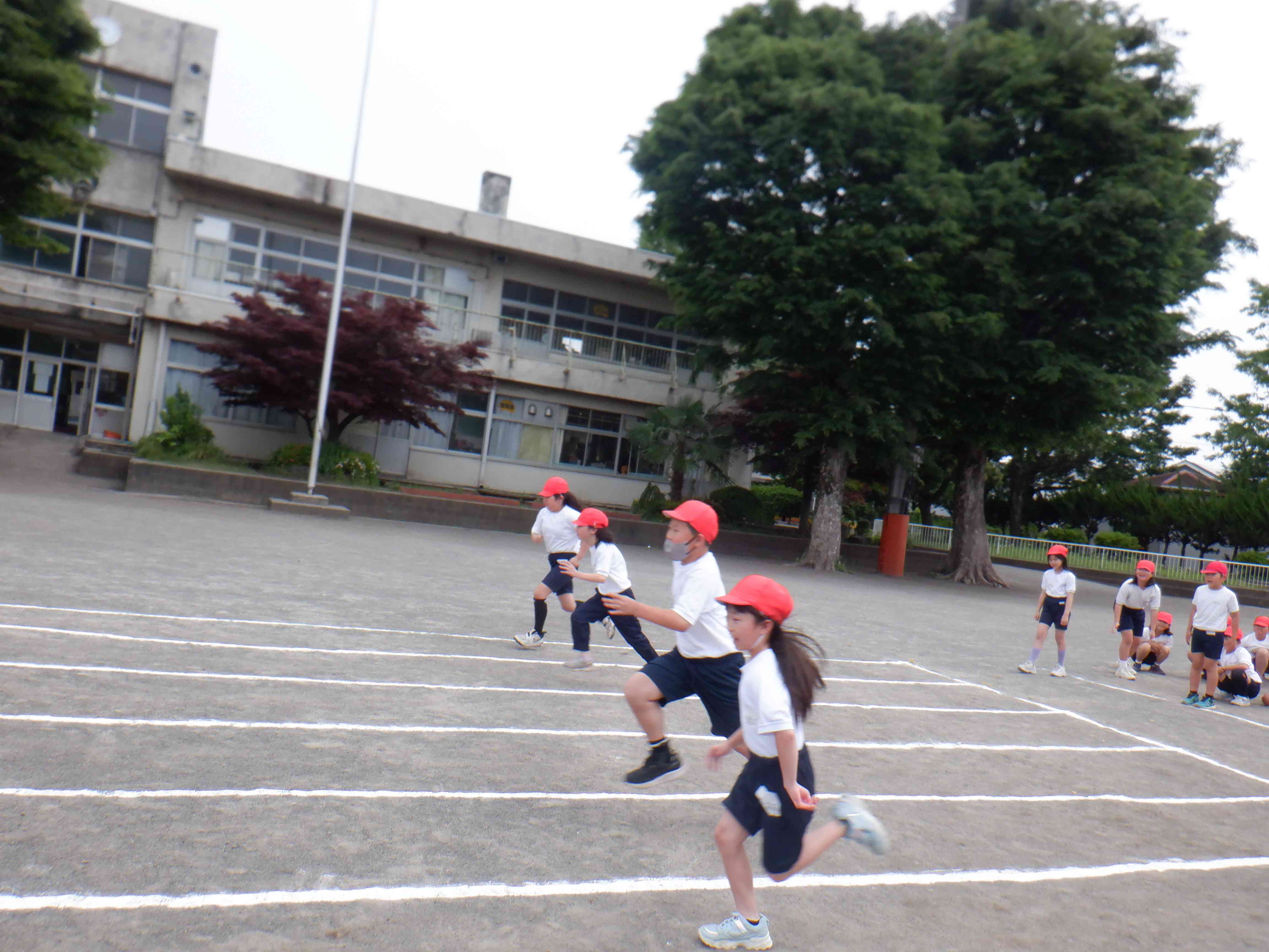 DSCF7509