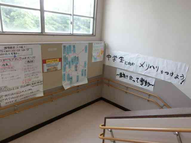 CIMG2500