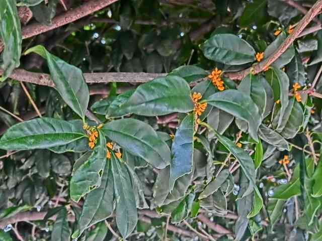 CIMG5054